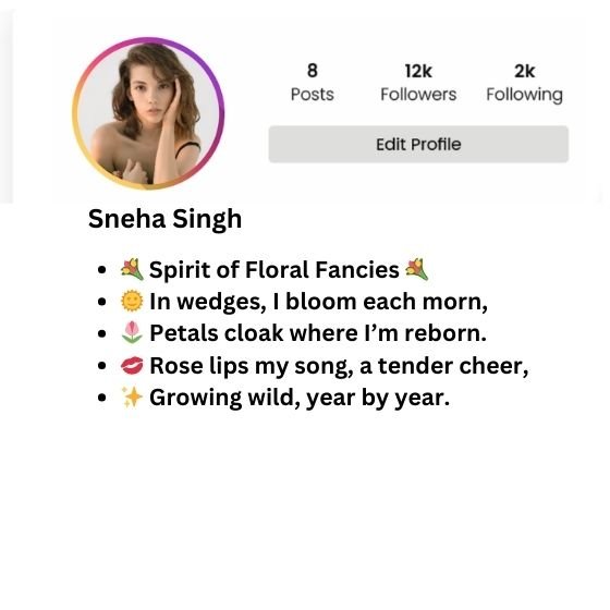 instagram stylish bio for girl