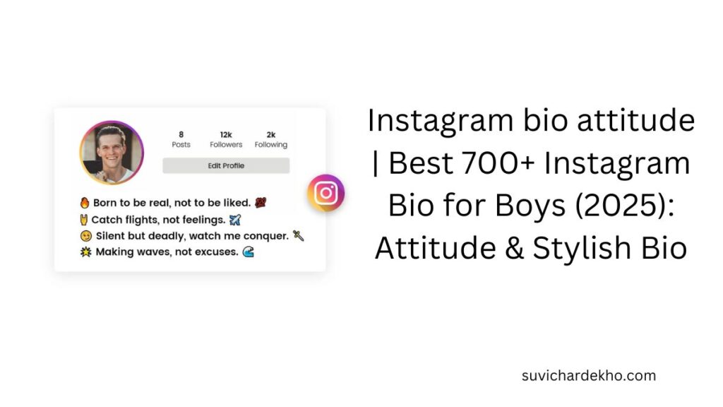 instagram bio attitude