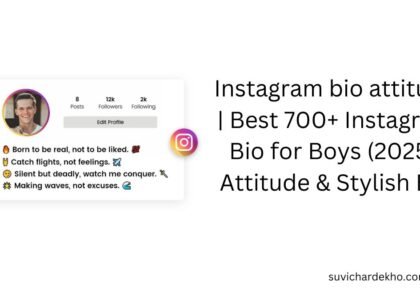 instagram bio attitude