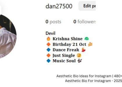 aesthetic bio ideas for instagram