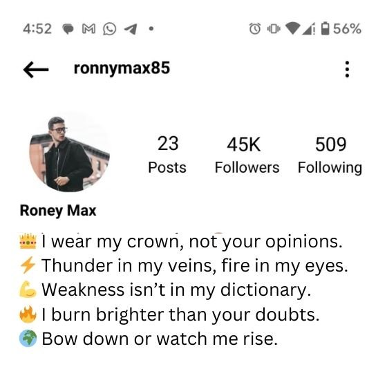 instagram bio for boys