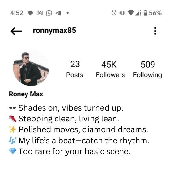 instagram bio for boys