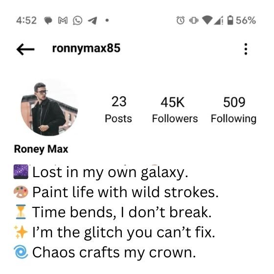 instagram bio for boys