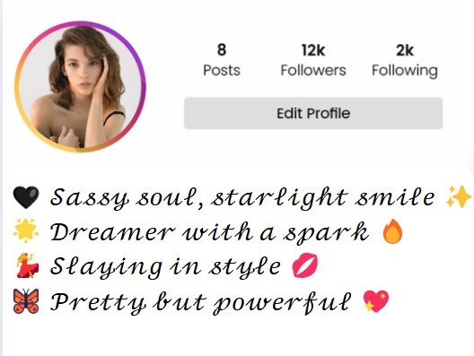 aesthetic bio for instagram for girl attitude