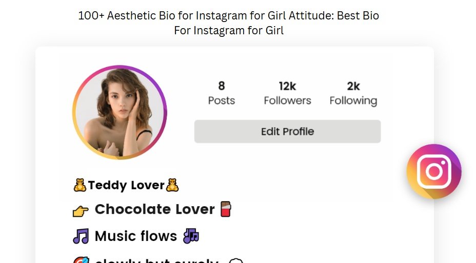 aesthetic bio for instagram for girl attitude