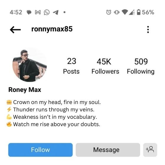 instagram bio