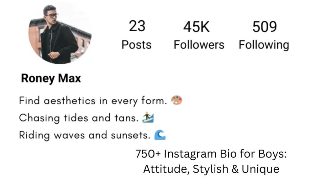 instagram bio