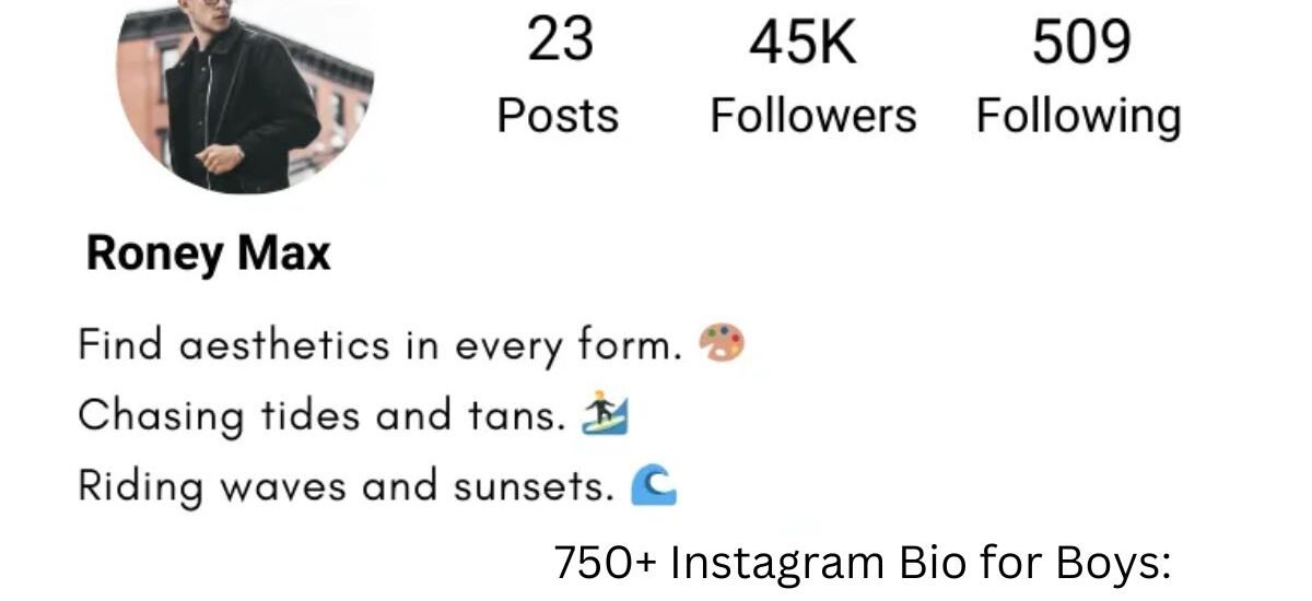 instagram bio