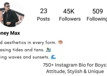 instagram bio