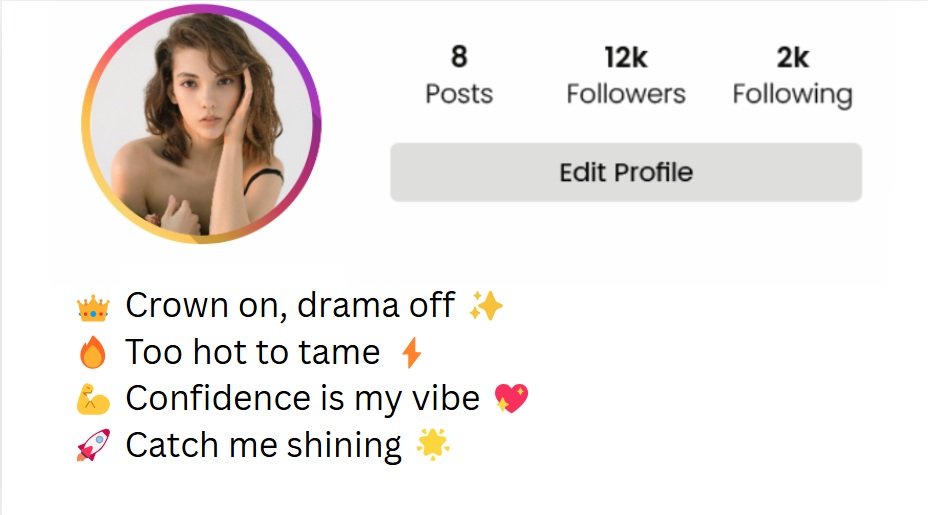 short bio for instagram for girl attitude