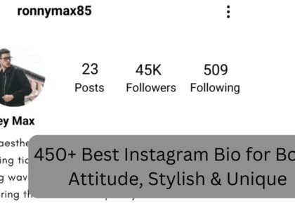 instagram bio for boys